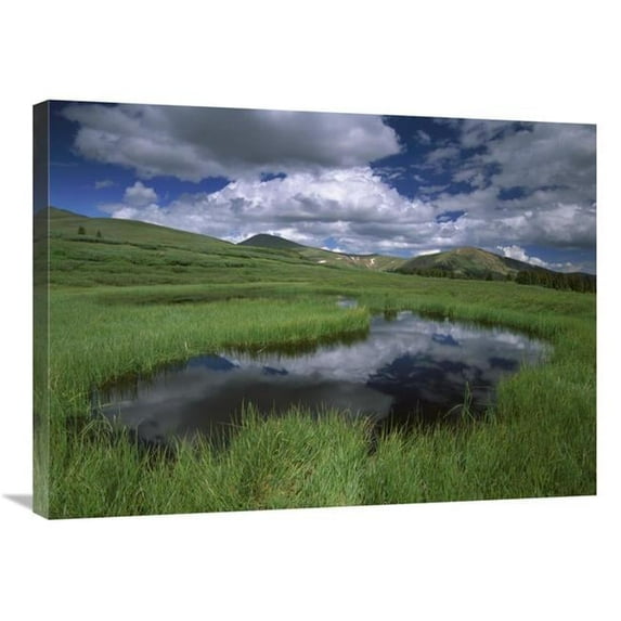 Global Gallery  Cumulus Clouds Reflected in Pond at Guanella Pass - Arapaho National Forest - Colorado Art Print - Tim Fitzharris
