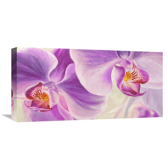 Global Gallery Cynthia Ann 'Purple Orchids' Canvas Wall Art