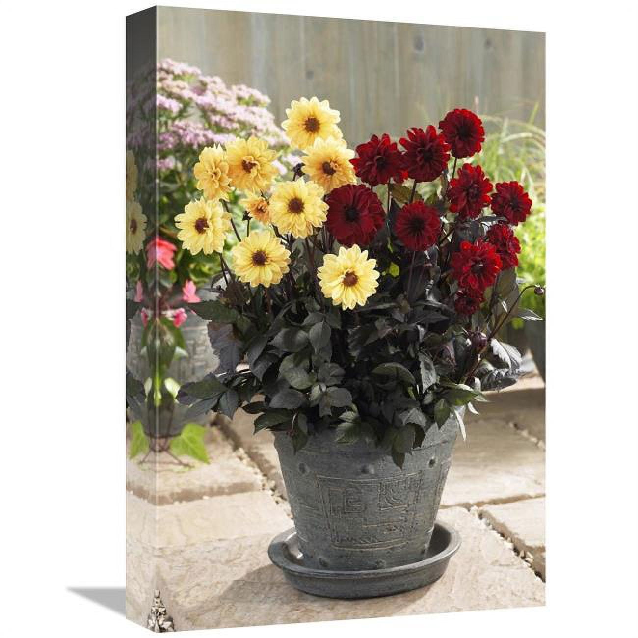 Global Gallery Dahlia Yellow Chic & Chic En Rouge Varieties Flowers Art ...