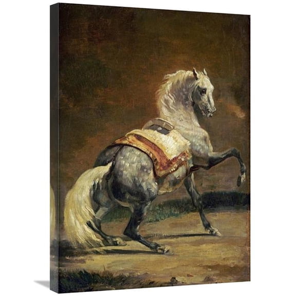 Global Gallery Dappled Grey Horse - Reversed Art Print - Theodore Gericault