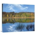 thumbnail image 1 of Global Gallery  Deciduous Forest Along Lackawanna Lake - Ricketts Glen State Park - Pennsylvania Art Print, 1 of 1