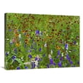 thumbnail image 1 of Global Gallery  Delphinium & Mexican Hat Flowers in Meadow - North America Art Print - Tim Fitzharris, 1 of 1