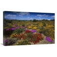 thumbnail image 1 of Global Gallery  Dewflowers & Other Blooms - Little Karoo - South Africa Art Print - Tui De Roy, 1 of 1