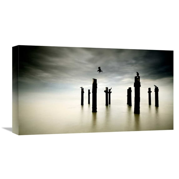 Global Gallery Diaspaulo,'The Sentinels' Stretched Canvas Artwork