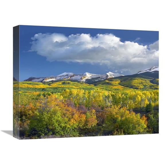 Global Gallery East Beckwith Mountain Flanked by Fall Colored Aspen Forests Under Cumulus Clouds - Colorado Art Print