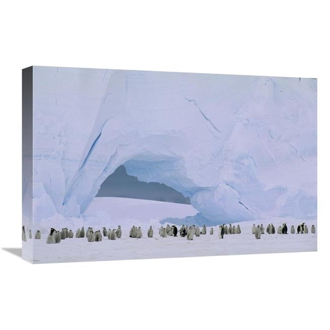 Global Gallery Emperor Penguin Large Rookery on Sea Ice - Weddell Sea ...