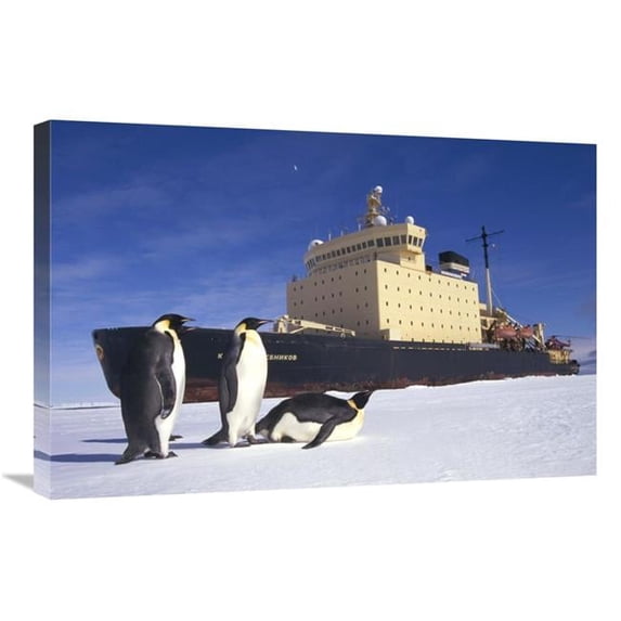 Global Gallery Emperor Penguin Trio & Russian Icebreaker Parked in Fast Ice - Antarctica Art Print