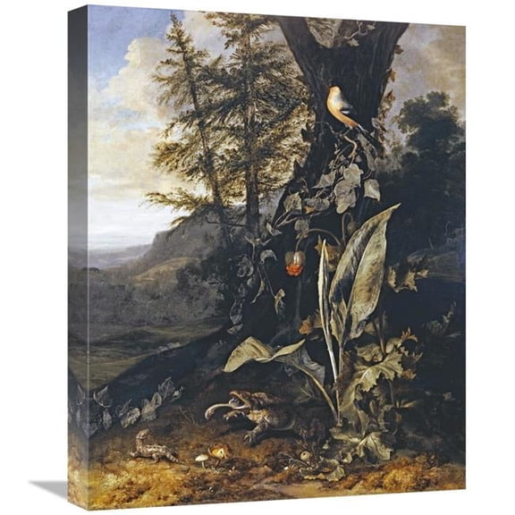 Global Gallery  Forest Floor with a Toad & a Lizard Art Print - Matthias Withoos