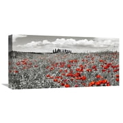 Global Gallery Frank Krahmer Farm house with cypresses and poppies, Tuscany, Italy Canvas Wall Art