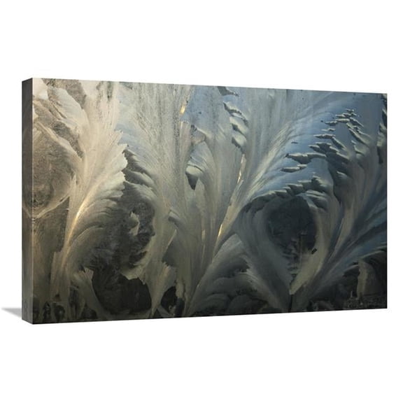 Global Gallery Frost Crystal Patterns on Glass - Ross Sea - Antarctica Art Print - Colin Monteath