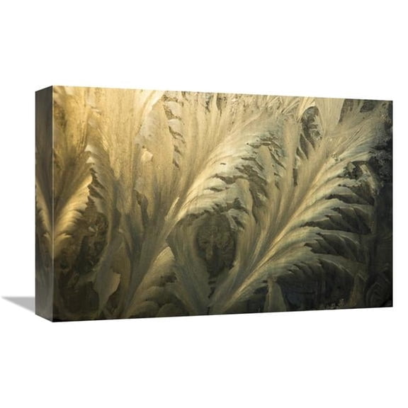 Global Gallery Frost Crystal Patterns on Glass - Ross Sea - Antarctica Art Print - Colin Monteath