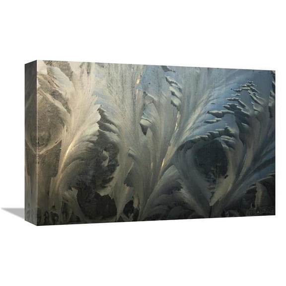 Global Gallery Frost Crystal Patterns on Glass - Ross Sea - Antarctica Art Print
