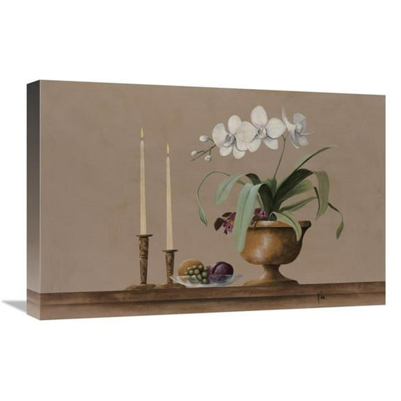 Global Gallery GCS-124356-1624-142 16 x 24 in. White Orchid Still Life Art Print - Wilbur