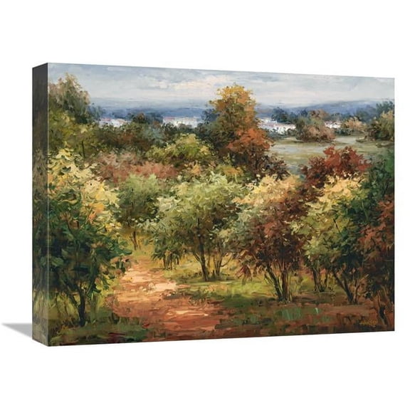 Global Gallery GCS-132573-1620-142 16 x 20 in. Sun Dappled Country Road Art Print - Hulsey