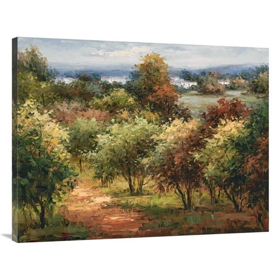 Global Gallery GCS-132573-3040-142 30 x 40 in. Sun Dappled Country Road Art Print - Hulsey