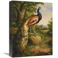 thumbnail image 1 of Global Gallery GCS-132590-1216-142 12 x 16 in. Classic Peacock Art Print - Blum, 1 of 1