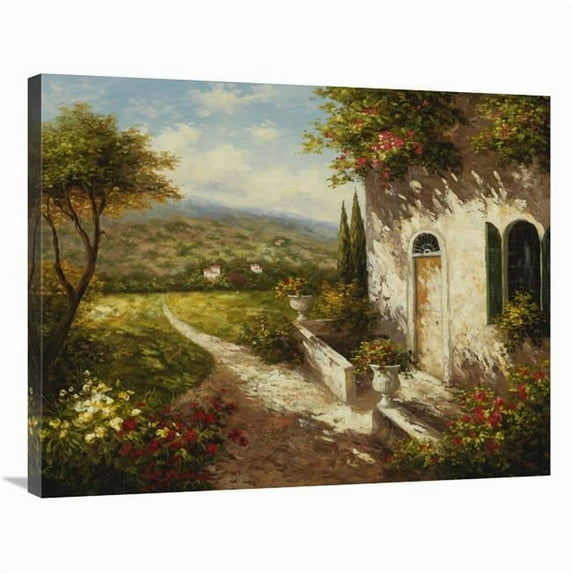 Global Gallery GCS-132592-2835-142 28 x 35 in. Traccia Del Prato Art Print - Lazzara