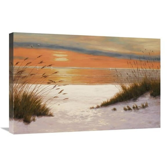 Global Gallery GCS-138954-2030-142 20 x 30 in. Summer Sunset Art Print - Diane Romanello