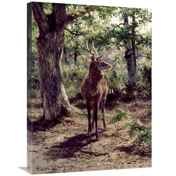Global Gallery GCS-276772-30-142 30 in. Stag on Alert, in Wooded Clearing Art Print - Rosa Bonheur