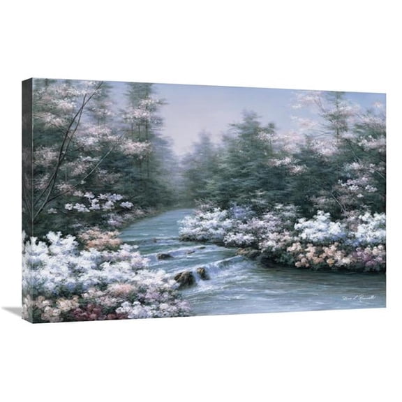 Global Gallery GCS-393938-2030-142 20 x 30 in. River Cascade Art Print - Diane Romanello