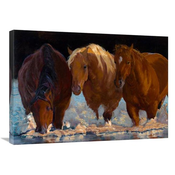 Global Gallery GCS-449996-2432-142 24 x 32 in. Shadows Art Print - Karen Bonnie