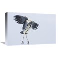 thumbnail image 1 of Global Gallery GCS-452607-1218-142 12 x 18 in. Grey Heron Landing, Usedom, Germany Art Print - Konrad Wothe, 1 of 1