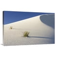 thumbnail image 1 of Global Gallery GCS-452614-2436-142 24 x 36 in. Yuccas in Gypsum Sand Dunes, White Sands National Monument, New Mexico Art Print - Konrad Wothe, 1 of 1
