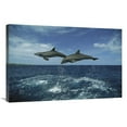 thumbnail image 1 of Global Gallery GCS-452641-2436-142 24 x 36 in. Bottlenose Dolphin Pair Leaping, Honduras Art Print - Konrad Wothe, 1 of 1