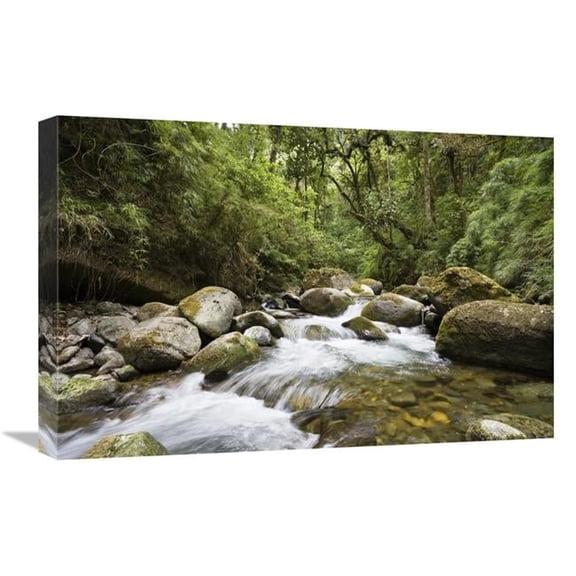 Global Gallery GCS-452663-1624-142 16 x 24 in. Savegre River Running Through Rainforest, Costa Rica Art Print - Konrad Wothe