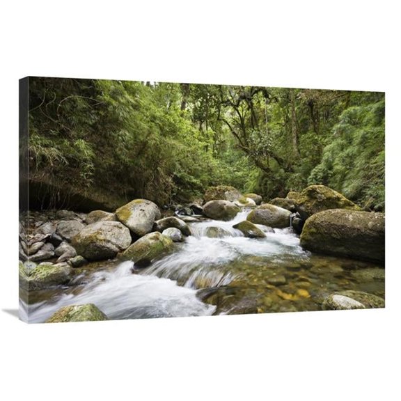 Global Gallery GCS-452663-2436-142 24 x 36 in. Savegre River Running Through Rainforest, Costa Rica Art Print - Konrad Wothe