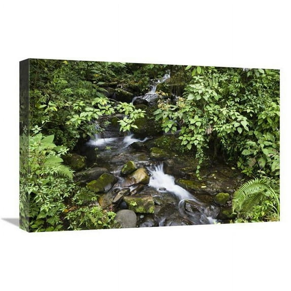 Global Gallery GCS-452664-1624-142 16 x 24 in. Creek Flowing Through Rainforest, Tapanti National Park, Costa Rica Art Print - Konrad Wothe