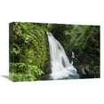thumbnail image 1 of Global Gallery GCS-452668-1218-142 12 x 18 in. La Paz Waterfalls in Rainforest, Costa Rica Art Print - Konrad Wothe, 1 of 1