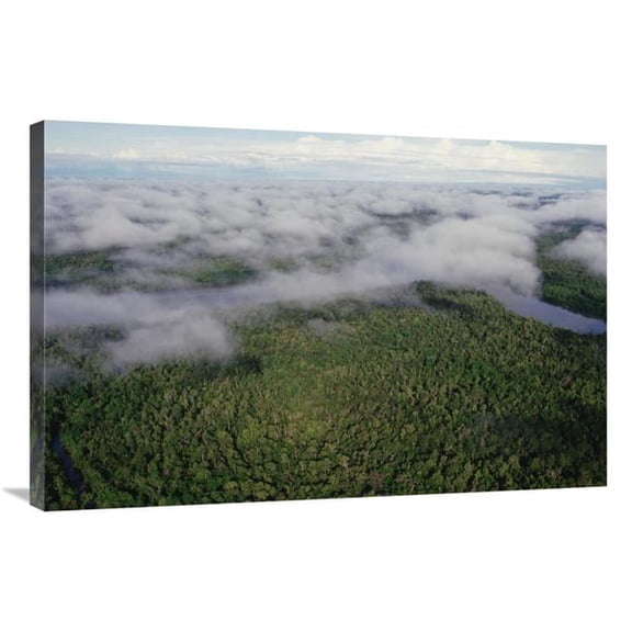 Global Gallery GCS-452988-2436-142 24 x 36 in. Kikori River & Runs Through Rainforest, Kikori Delta, Papua New Guinea Art Print - Gerry Ellis