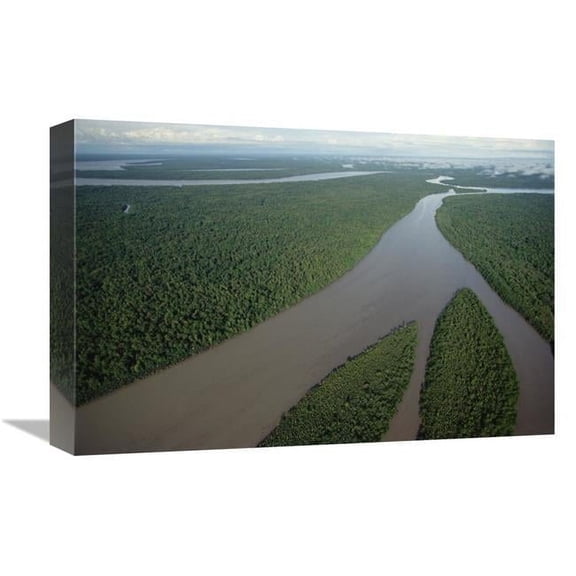 Global Gallery GCS-452990-1218-142 12 x 18 in. Kikori River & Runs Through Rainforest, Kikori Delta, Papua New Guinea Art Print - Gerry Ellis