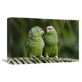 thumbnail image 1 of Global Gallery GCS-453081-1218-142 12 x 18 in. Red-Lored Parrot Pair Sitting on Branch, Ecuador Art Print - Pete Oxford, 1 of 1