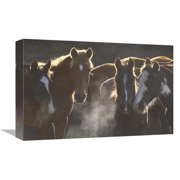 Global Gallery GCS-453136-1218-142 12 x 18 in. Horse Herd At Annual Round-Up, Backlit, Ecuador Art Print - Pete Oxford