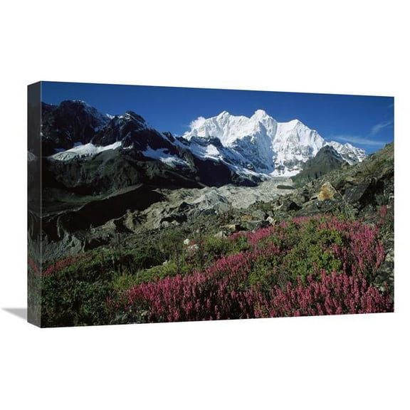 Global Gallery GCS-453425-1624-142 16 x 24 in. Wildflowers & Kangshung Glacier, Mt Chomolonzo in Background, Tibet Art Print - Colin Monteath