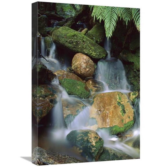 Global Gallery GCS-453504-1624-142 16 x 24 in. Stream Waterfall Near Lake Mapourika, New Zealand Art Print - Shaun Barnett