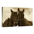 thumbnail image 1 of Global Gallery GCS-453719-2030-142 20 x 30 in. Horses Pair Belonging to Chagras, Andes Mountains, Ecuador - Sepia Art Print - Pete Oxford, 1 of 1