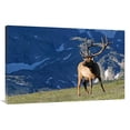 thumbnail image 1 of Global Gallery GCS-486396-44-142 44 in. Above the Timberline Art Print - Vic Schendel, 1 of 1