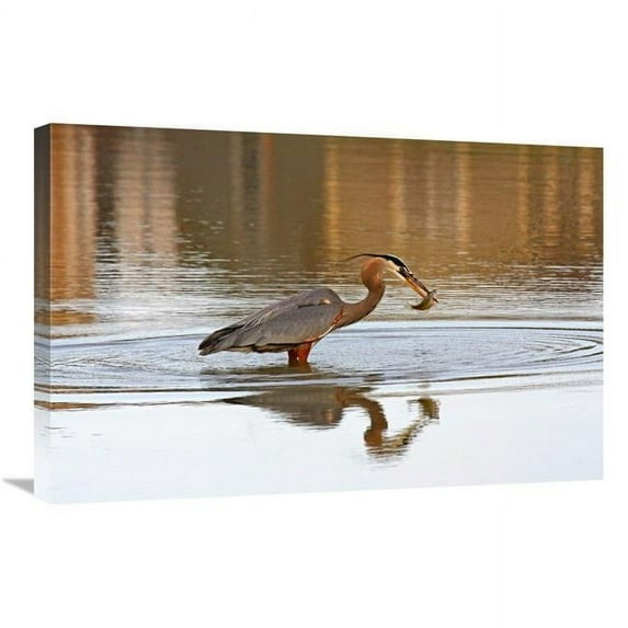 Global Gallery GCS-486415-30-142 30 in. The Fisherman Art Print - Vic Schendel