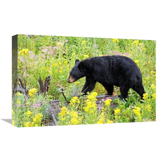 Global Gallery GCS-486424-22-142 22 in. On the Prowl Art Print - Vic ...