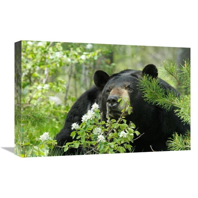 Global Gallery GCS-486431-22-142 22 in. Watching Art Print - Vic ...