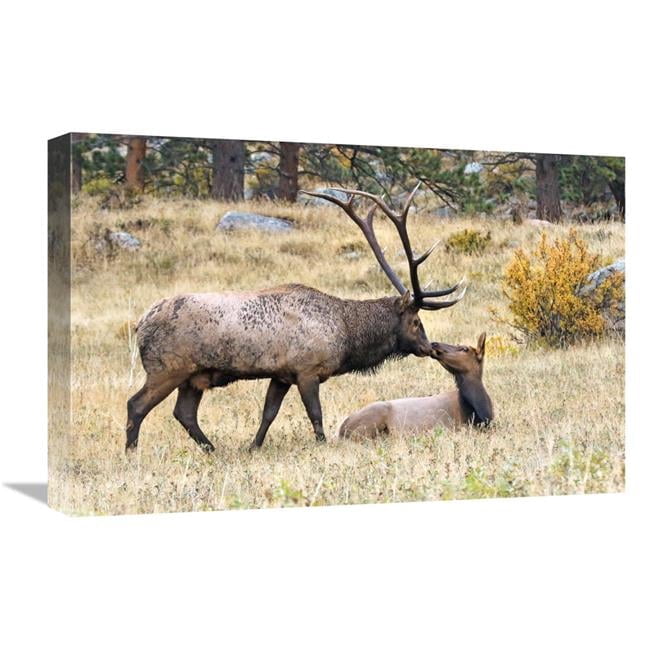 Global Gallery GCS-486450-22-142 22 in. The First Kiss Art Print - Vic ...