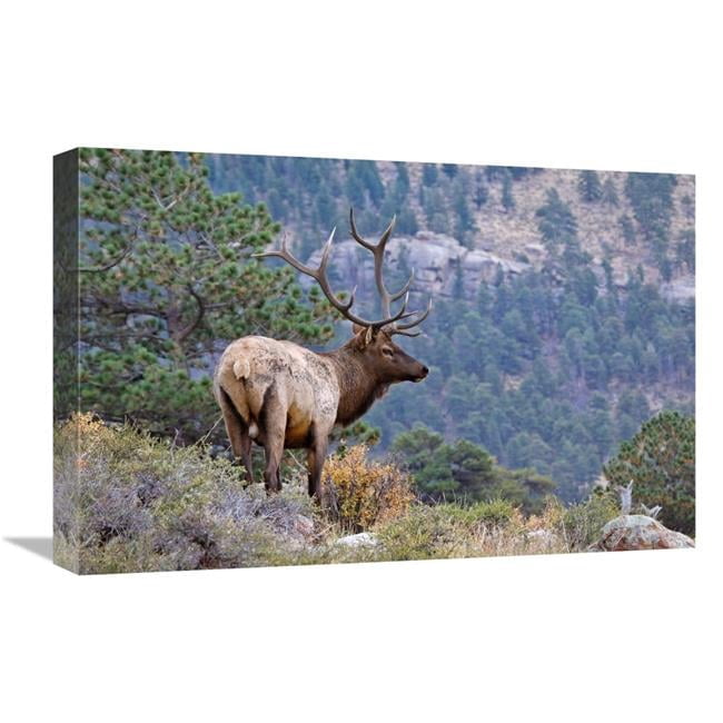 Global Gallery GCS-486457-22-142 22 in. Canyon View Art Print - Vic ...