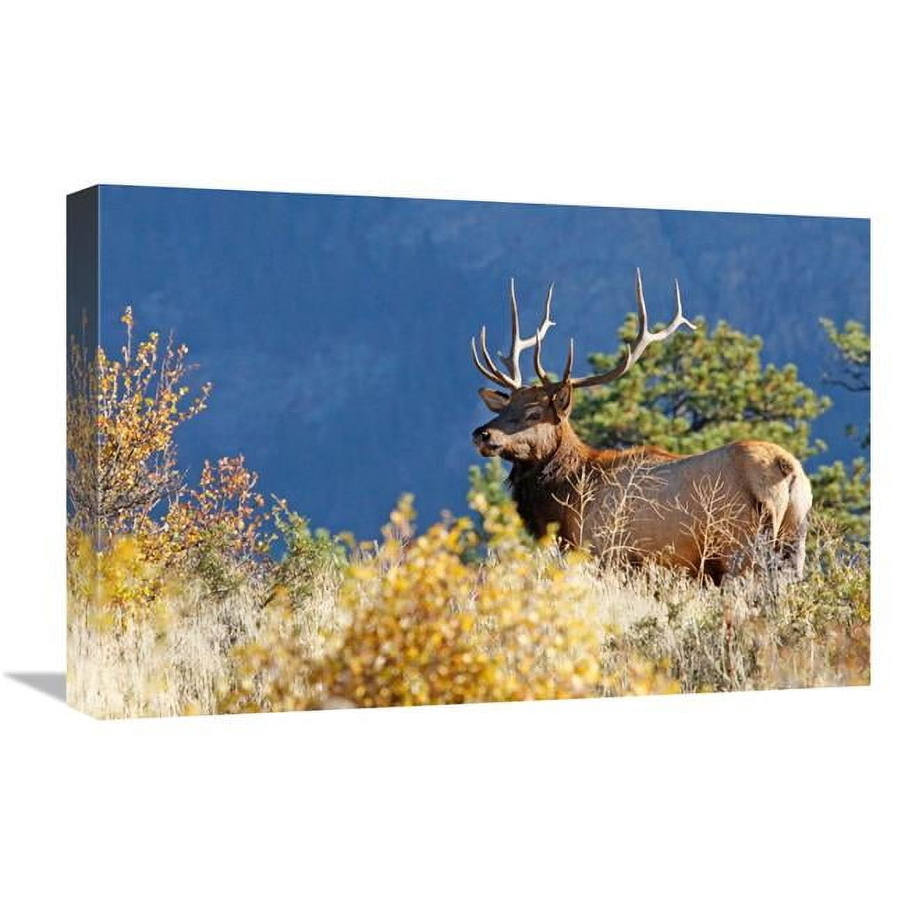 Global Gallery GCS-486465-22-142 22 in. Blending In Art Print - Vic ...