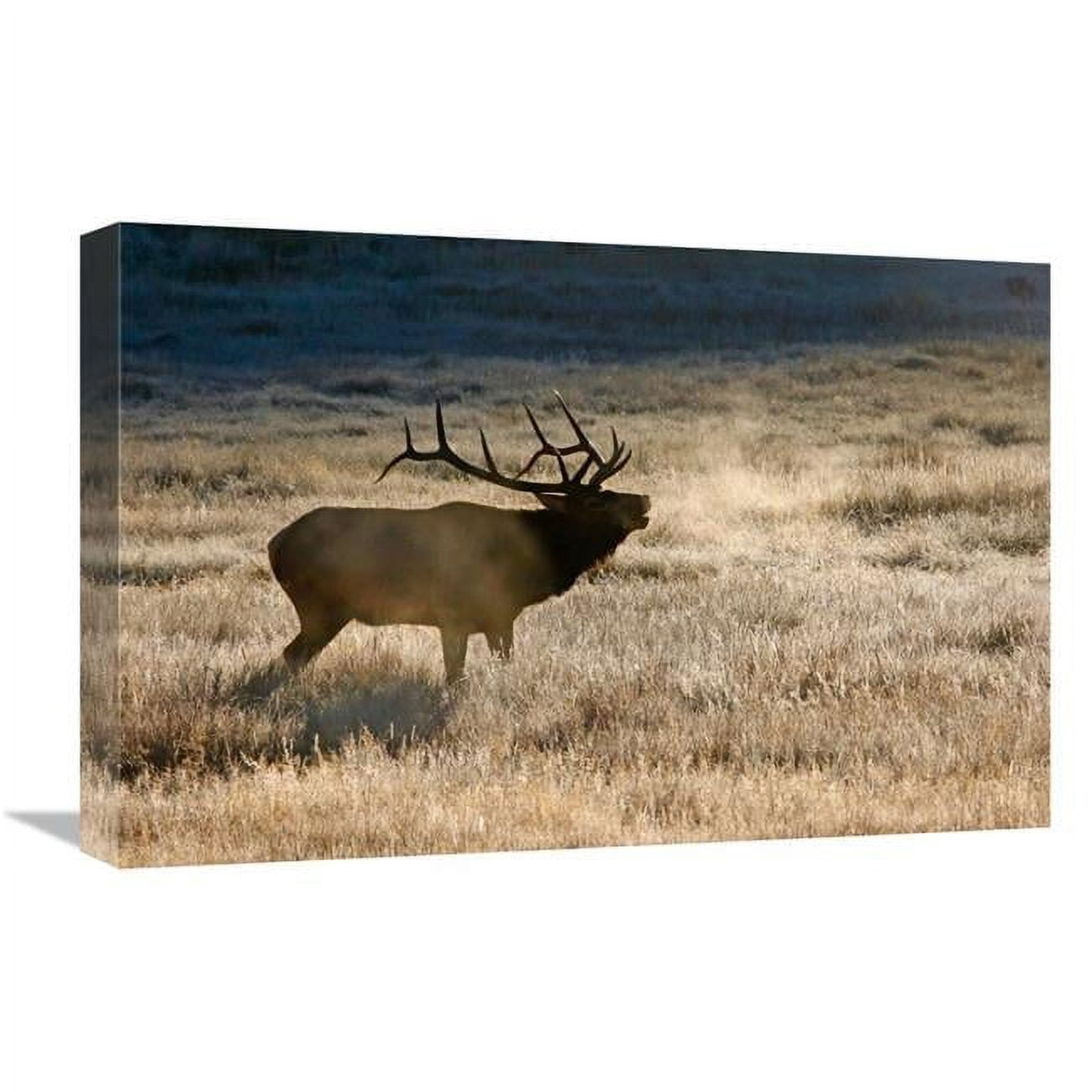 Global Gallery GCS-486470-22-142 22 in. Morning Chill Art Print - Vic ...