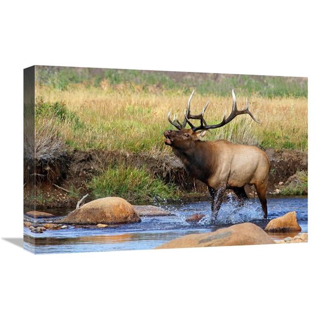 Global Gallery GCS-486477-22-142 22 in. Splashing Around Art Print ...