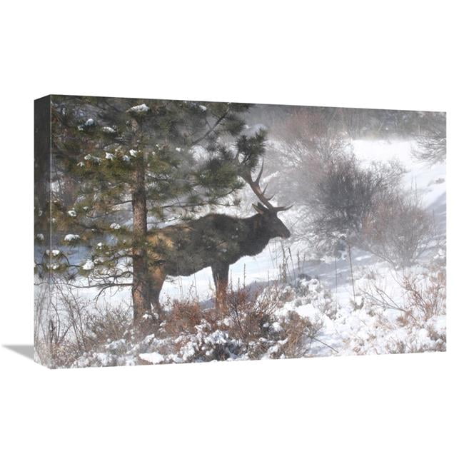 Global Gallery GCS-486480-22-142 22 in. Shelter From the Storm Art ...