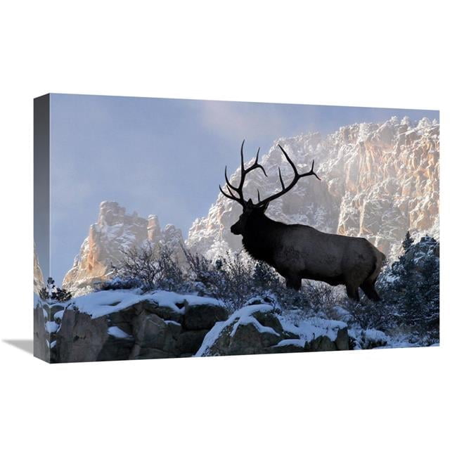 Global Gallery GCS-486488-22-142 22 in. King of the Mountain Art Print ...